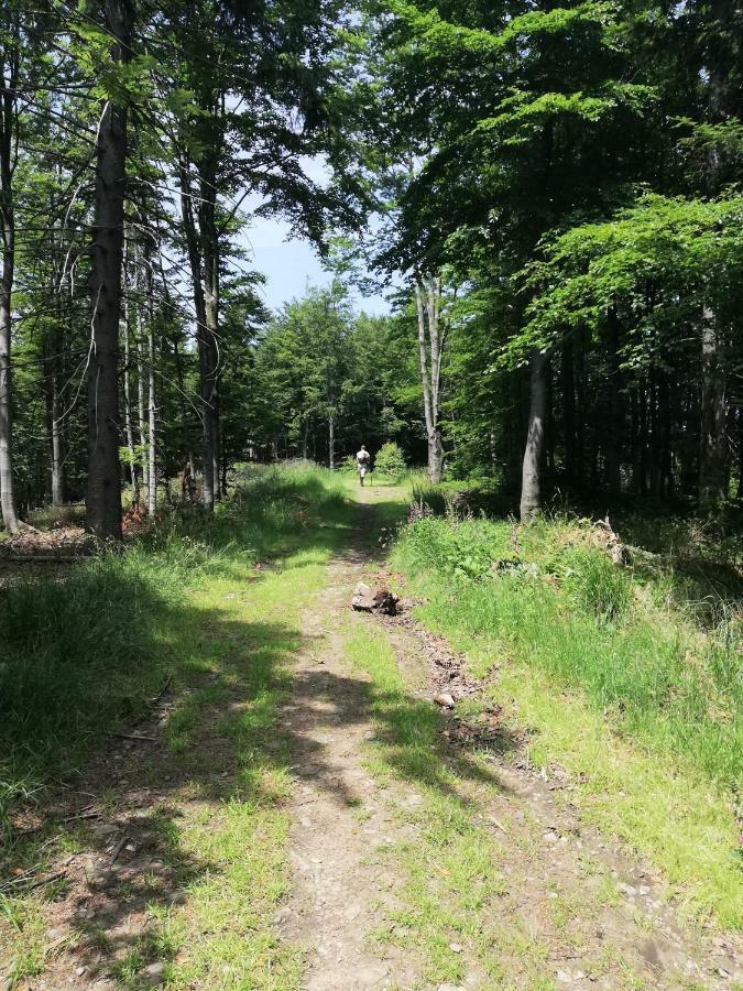 Domek Skalite W Szczyrku Buitenkant foto